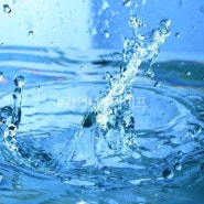 건강해지는 법 :: 물을 자주 마셔야 하는 이유와 물의 효능