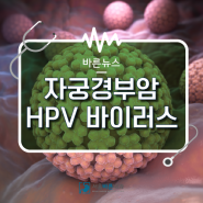 인유두종바이러스 HPV 고위험군의 16 18번