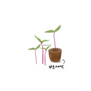 나베텃 🌱2021년도 1분기 같키 다크레드비트 파종 기념 비트 그리기 완성 ❤️