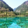 11. 여러남자와 결혼하는 구채구 장족여인 Jiuzhaigou