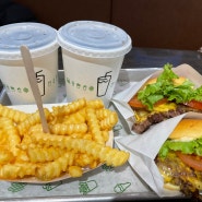 [서울] 종각역 쉐이크쉑 shakeshack burger