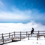 소백산 최단 등산코스 비로사로 올라 만난 비현실적 풍경