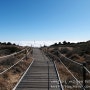 [나홀로 제주 19'11] DAY 3_02_한라산 국립공원 영실탐방로 윗세오름 대피소에서 남벽분기점까지