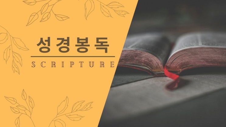 파워포인트 성경 배경