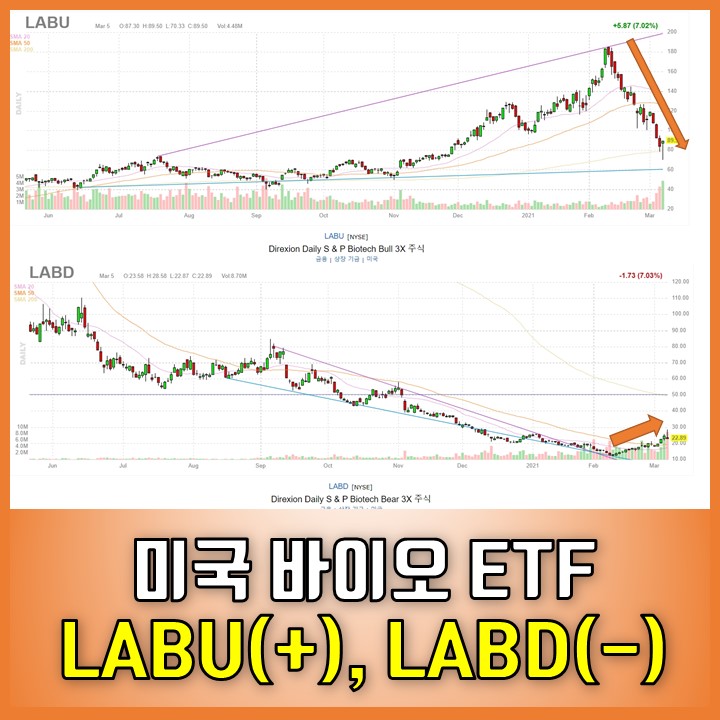 미국 바이오 ETF | 3배 레버리지 LABU, 3배 숏 인버스 LABD 주가, 종목, 수익률 : 네이버 블로그