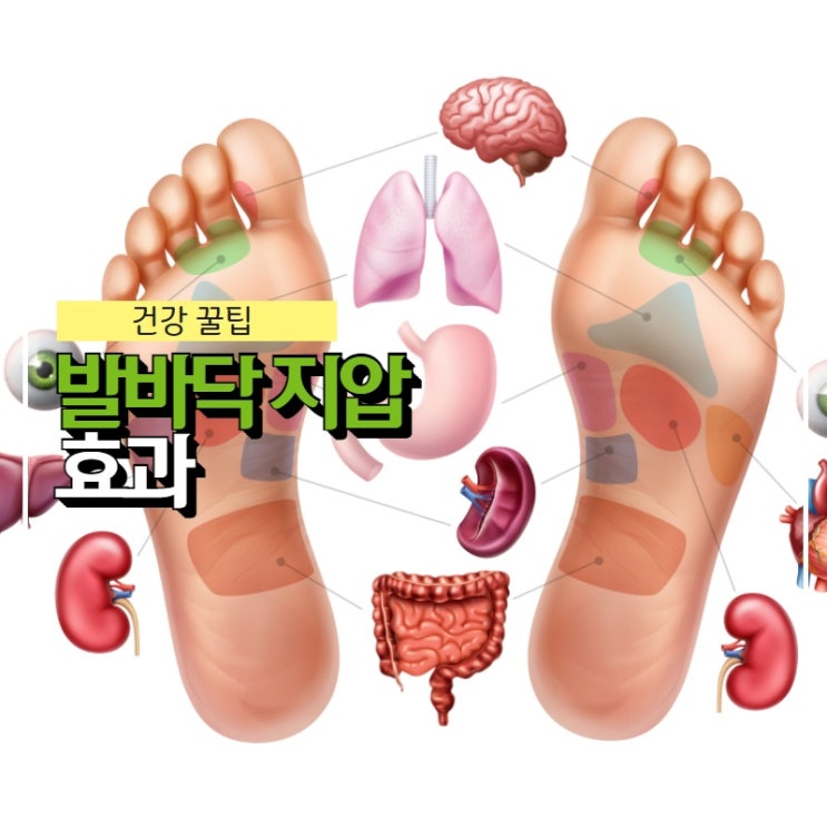 발지압점과 발바닥지압 효과 (용천혈,두통,생리통,허리통증,변비,위통증 등) : 네이버 블로그