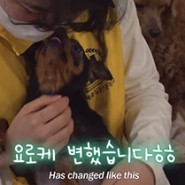 애니멀봐 X 동물농장 유기견 구조 봉사 서울예술실용전문학교 애완동물과정 참여