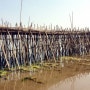 외국 관광객들에게 최고인기! 매년 새롭게 건설하는 "대나무다리" 캄보디아 캄퐁참 랜드마크