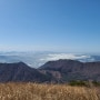 화순 안양산 무등산 등산 산행 철쭉꽃 안양산자연휴양림 무등산편백자연휴양림 들국화마을 들국화찻집