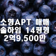 죽전역 솔하임 소형아파트 2021년 3월 입주 임박(거래완료)