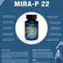 미라-P 22 - 전립선비대증 해결의 신기원을 이룩한 탁월한 제품. 발기부전증과 신장과 간장기능 개선, 넘치는 체력