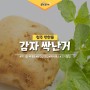 감자 싹난거 독성 성분이?