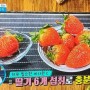 좋은 아침-면역력증진에도움되는황금식품 딸기/ 딸기씻는법