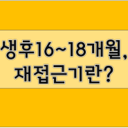 아가 재접근기 특징, 생후 16~18개월 발달 단계