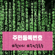 주민등록번호에 포함되어 있는 정보들은 무엇일까? (주민등록번호 뒷자리 의미)