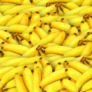 바나나 즐기면 복부 비만 등 대사 이상 25% 이상 감소
