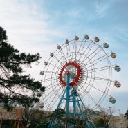 포항 [곤륜산] 그리고 [경주월드]에서 추억쌓기🎡✨