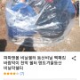 [2년 전 오늘] 캠핑 쉘터 알아보다 발견한 비닐 쉘터~^^