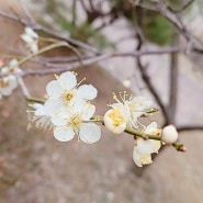 이 세상 소식~