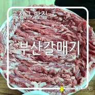 [금정구 밥집] 촉촉한 돼지고기 특수부위, 갈매기살은 부산 갈매기