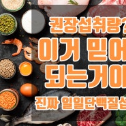 근성장과 다이어트를 위한 하루 단백질 섭취량