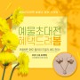 인천예물 봄맞이 이벤트