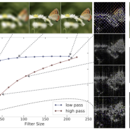 Adversarial Examples are not bugs, they are features를 둘러싼 discussion 들 2