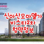 신아산 모아엘가비스타2차 민간임대아파트 청약정보