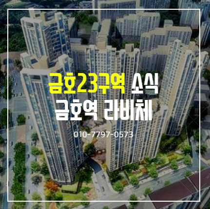 금호동 금호 23구역, 금호역 라비체 소식 : 네이버 블로그