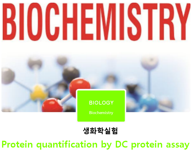[생화학실험] Protein quantification by DC protein assay : 네이버 블로그