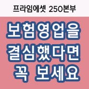 보험영업 하기로 결심했다면 꼭 보세요.