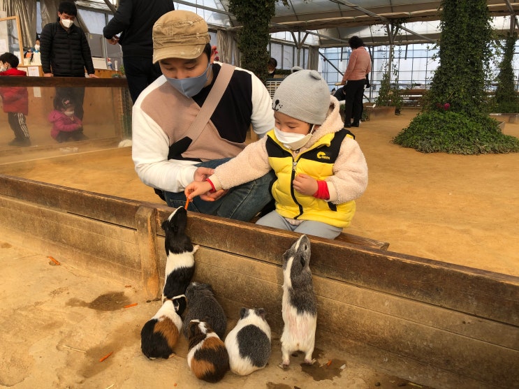 실내동물원 동물체험 가능한 부천 나눔농장