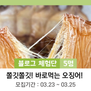 <마감>[배송제품]쫄깃한 매력! 바로먹는 오징어 체험단 모집(5명)