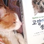 고양이 책 추천[훈련.교육] 페티앙북스 동물행동학 고양이처럼 생각하기