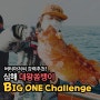 버터아저씨의 심해 대왕 쏨뱅이 big one challenge(feat 출조여행)