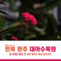 완주 대아수목원, 봄날 꽃 구경, 등산은 부록