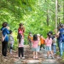 초등학교 체험학습, 숲 생태놀이, 숲 놀이터 (주)자연아놀자