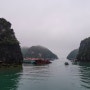 [베트남 하롱베이]당일치기 투어로 카약도타고 원숭이섬 방문!