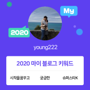 [2020 마이블로그 리포트] 한 눈에 보는 올해 내 블로그 데이터!