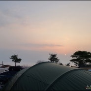 [궁평항숲속캠프] 2021년 캠핑 시작!