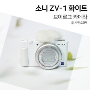 소니 ZV-1 화이트 예쁜 브이로그 카메라 사용 후기