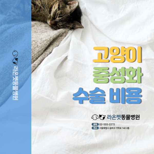 My Image 31