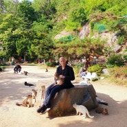 [베르나르 베르베르의 고양이 사전]_고양이 카페 - 개화동 고양이 정원