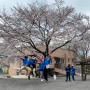 ♥꽃피는 봄날, 천안봉사단체 더봉사단 신아원 보육원 환경봉사 및 중식봉사현장