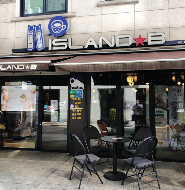 아일랜드비 사진