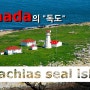 Canada의 독도 Machias seal island