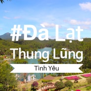 베트남 달랏 여행 사랑의계곡 Valley Of Love: Thung Lung tinh yeu