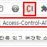 Access-Control-Allow-Origin 에러