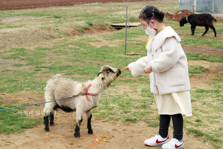 부천 나눔농장 아이와 가볼만한곳 : 비오는 주말일기