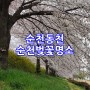 순천 벚꽃 명소, 순천동천 장대공원